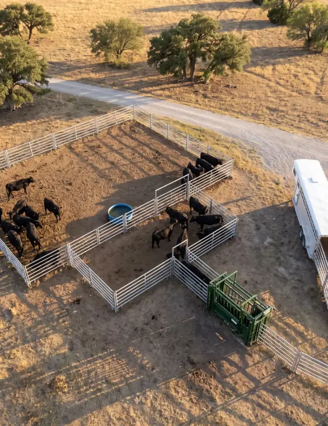 Aerial view of the finished P01 corral